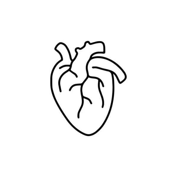 Ikona Srdce Ručně Kreslený Vektor Obrysová Ilustrace — Stockový vektor