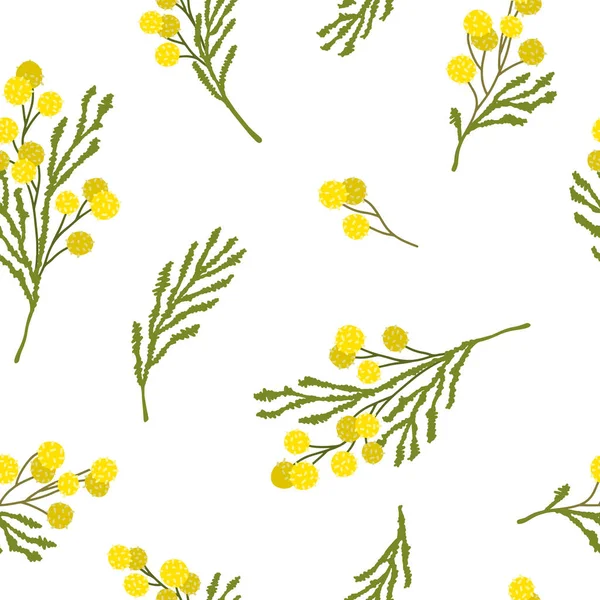 Handgetekende Mimosa Naadloos Patroon Vector Illustratie Kan Worden Gebruikt Voor — Stockvector
