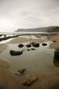 Robin davlumbaz Körfezi