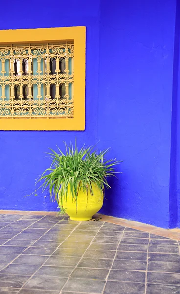 Panela amarela, parede azul — Fotografia de Stock