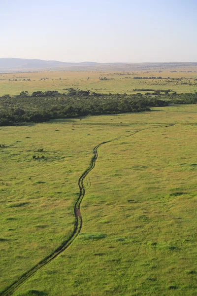 Pista snaking através da Masai Mara — Fotografia de Stock