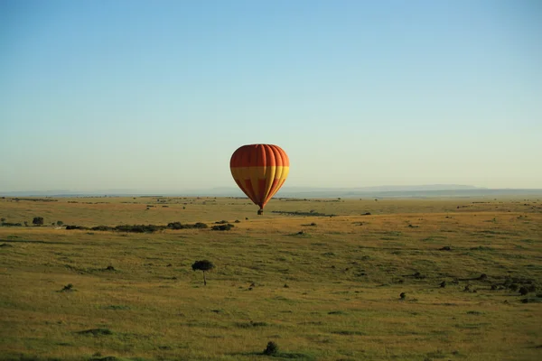 アフリカの気球のサファリ — ストック写真