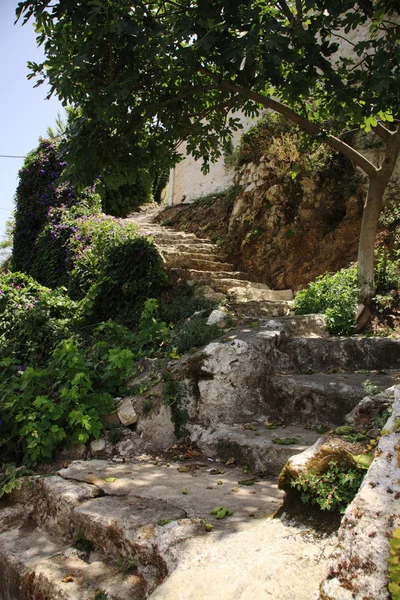 Old steps up the hillside — Stock Photo, Image