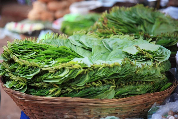 Green leaves in a basket India — Stock Photo, Image