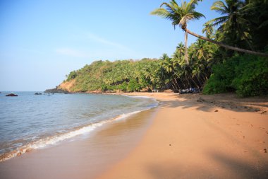 Goan beach