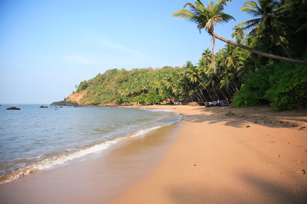 Goan beach
