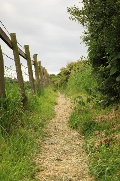 Engels platteland pad — Stockfoto