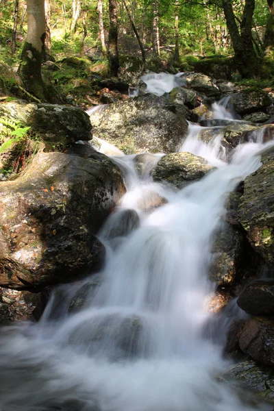 Obturateur lent cascade Ecosse — Photo