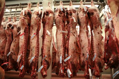 Several cattle carcass hung in a refrigerator clipart