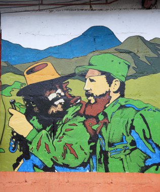 che guevara ve el castro