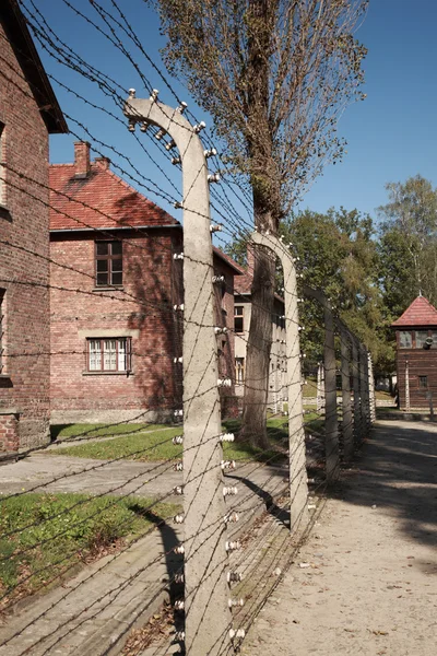 Zobacz dół ogrodzenia z drutu kolczastego, auschwitz — Zdjęcie stockowe