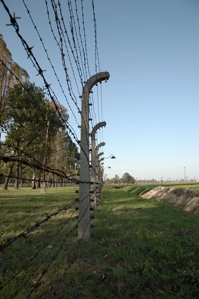 Barbed wire fence, Auschwitz concentration camp — Stock Photo, Image
