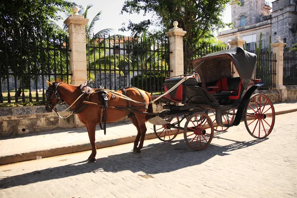Koně a vozík v Havaně — Stock fotografie