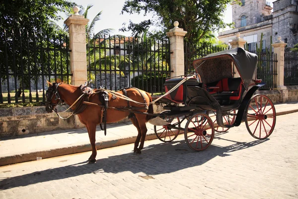 Pferd und Wagen in Havanna — Stockfoto