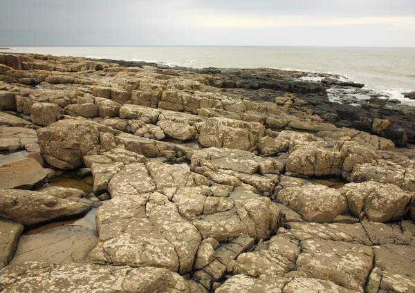 Stenig strand på northumberland — Stockfoto