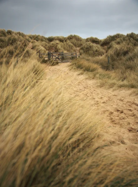 Bamburgh beach path — Stock Photo, Image