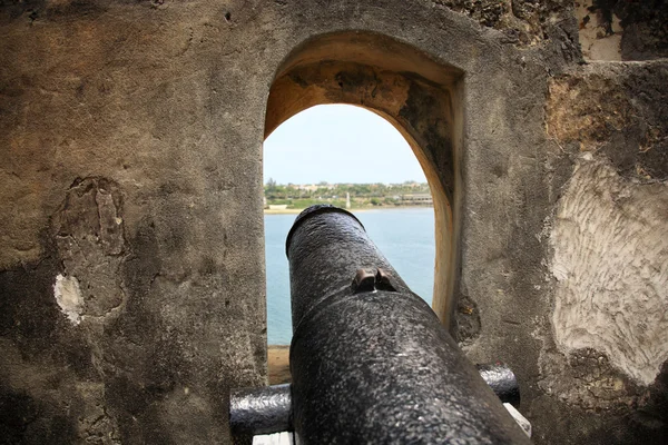Cannon görünümü