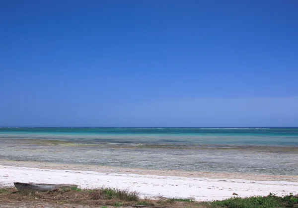 Tropicale Mombassa spiaggia — Foto Stock