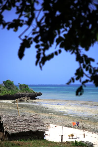 Plage tropicale encadrée par des feuilles — Photo