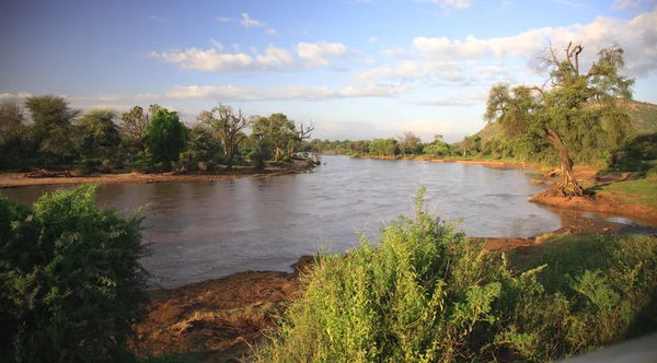 Rio de ewaso nyiro — Fotografia de Stock