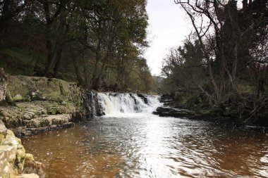 şelale gelt Nehri üzerindeki