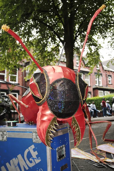 Fantasia de carnaval de mosca preta e vermelha — Fotografia de Stock