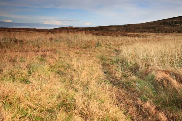 Cumbrian landsbygden — Stockfoto