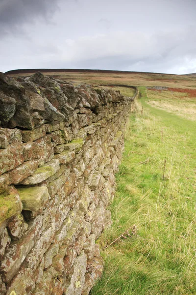Suché kamenné zdi v Cumbrii — Stock fotografie