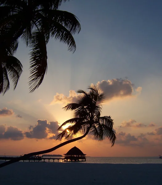 Tramonto maldiviano — Foto Stock