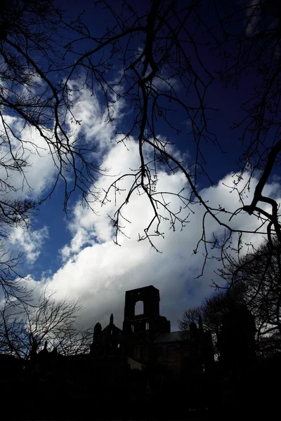 Kirkstall Abbey framed by trees Stock Photo