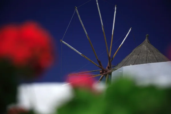 Molino de viento y geranio — Foto de Stock