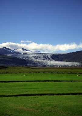yeşil alan ve buzul