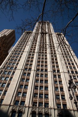 Bina, woolworth new york seyir
