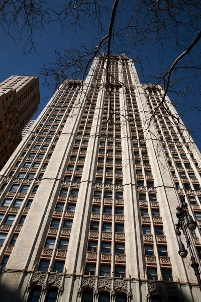 Looking up at The Woolworth Building, New York — Stock Photo, Image