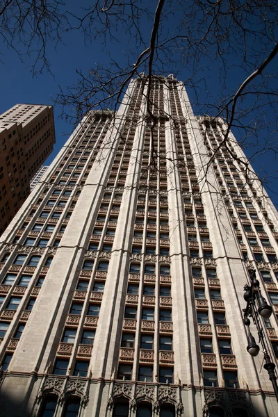 Guardando il Woolworth Building, New York Fotografia Stock