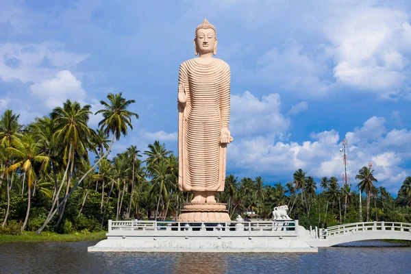 Статуя Будды Пералии, Мемориал цунами, Шри-Ланка — стоковое фото
