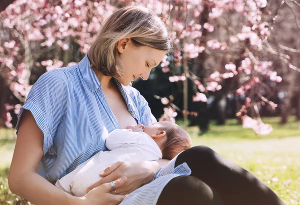 漂亮的哺乳期母亲 年轻妇女正在给新生婴儿喂奶 哺乳期 自然分娩的概念 大自然的母亲和婴儿在户外 — 图库照片