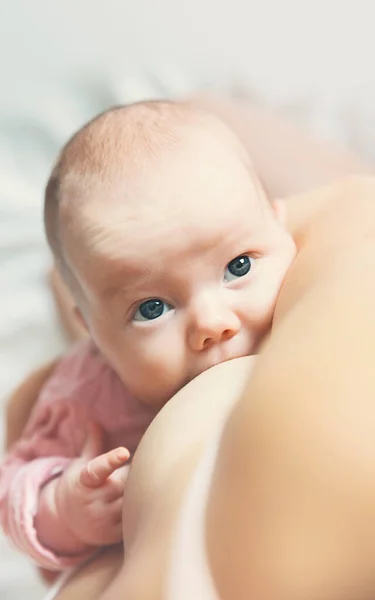 婴孩吃母亲的牛奶 母亲母乳喂养的婴儿 美丽的母亲母乳喂养她的新生的孩子 年轻妇女哺乳和喂养婴儿 哺乳婴儿的概念 — 图库照片