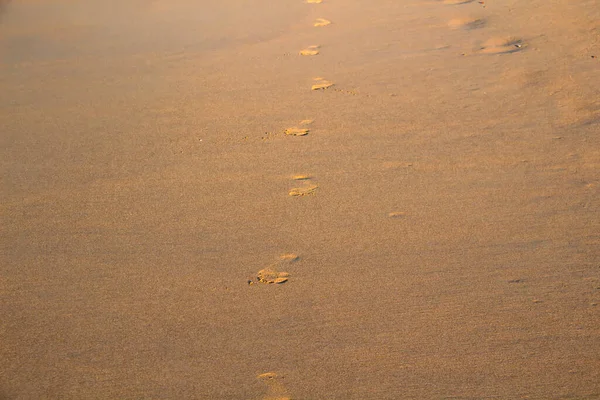 Fotspår Sanden Stranden Mot Bakgrund — Stockfoto