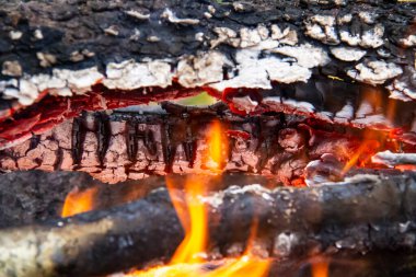 Yanan odun ateşinin kızgın közleri. Sıcak kırmızı renkte parlayan közler. Yakacak odun ızgarada yanıyor.