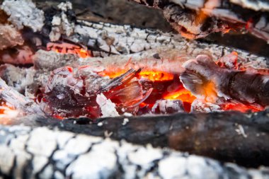 Yanan odun ateşinin kızgın közleri. Sıcak kırmızı renkte parlayan közler. Yakacak odun ızgarada yanıyor.