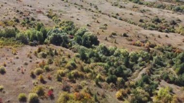 Kuşbakışı ağaçlar.