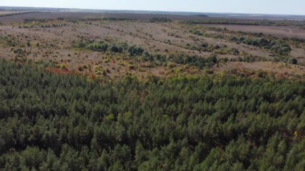 Campos lisos árvores de uma visão de olhos de pássaros — Vídeo de Stock