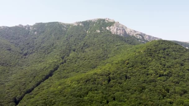 Góry w zieleni widok z powietrza — Wideo stockowe