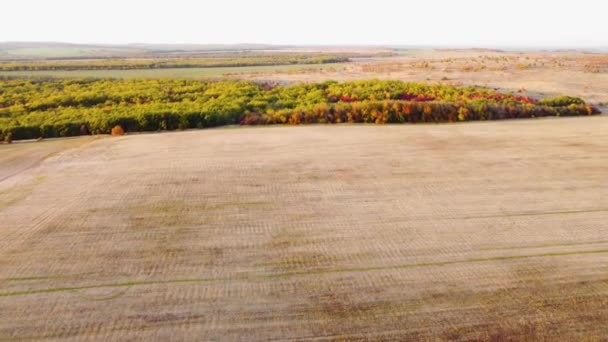 Otoño bosque caducifolio multicolor y campos vista superior desde un quadrocopter — Vídeos de Stock