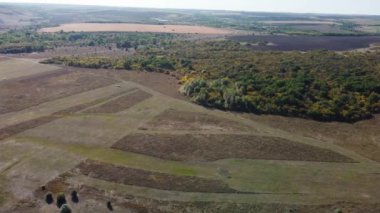 Uçak kuşbakışı tarlaları püskürtüyor.