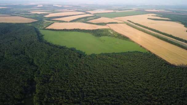 Поля сельскохозяйственных лесов и высокая дорога с quadrocopter — стоковое видео