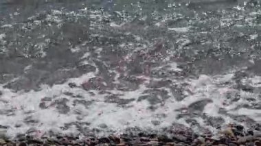 Çakıl taşlarının üzerinde deniz sörfü. Yakından rahatla.