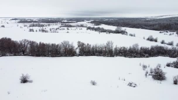 Nieve - campos cubiertos. naturaleza cubierta de nieve desde el aire — Vídeos de Stock