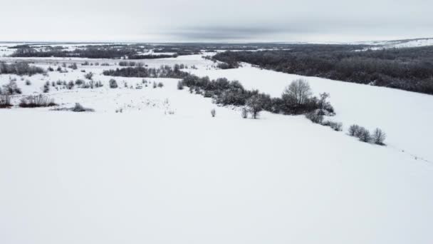 Nieve - campos cubiertos. naturaleza cubierta de nieve desde el aire — Vídeos de Stock